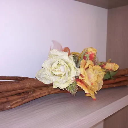 Apartament The Tourist Bergamo